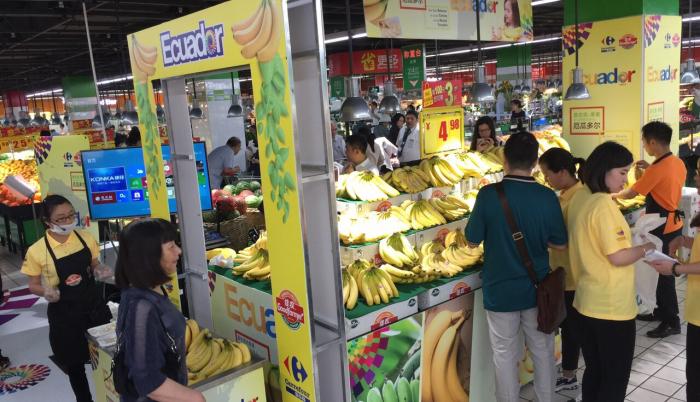 Crecen en 25,24 % exportaciones de banano ecuatoriano a China de enero a junio